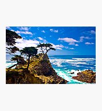Monterey Lone Cypress Photographic Print