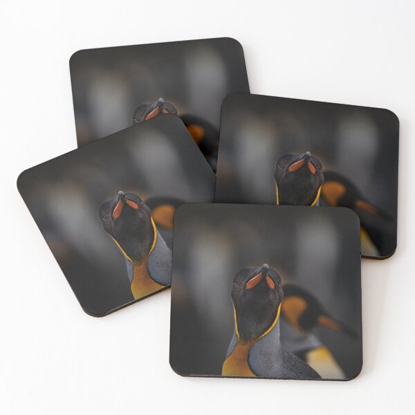 Item preview, Adorable penguin portrait | unique photo art designed and sold by DiveDuke.