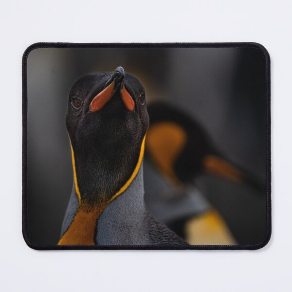 Item preview, Adorable penguin portrait | unique photo art designed and sold by DiveDuke.