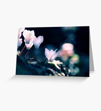 The Dragons Path Greeting Card