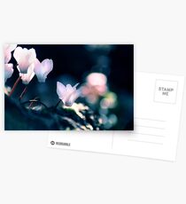 The Dragons Path Postcards