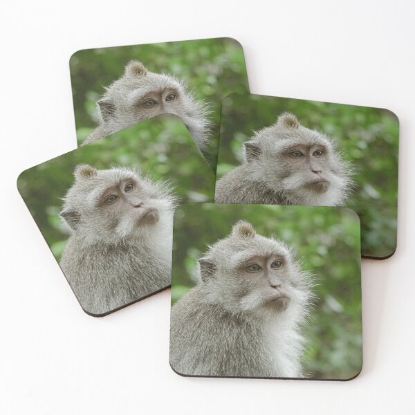 Item preview, Balinese Long-Tailed Macaque at Ubud Temple designed and sold by JayrosParker.