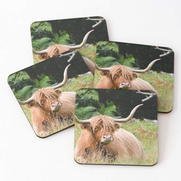 Item preview, Highland cow designed and sold by sicowboy.