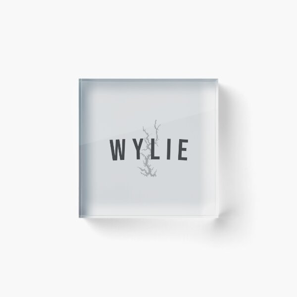 Item preview, Lake Wylie FW2 designed and sold by Favorite Waters Outfitters.