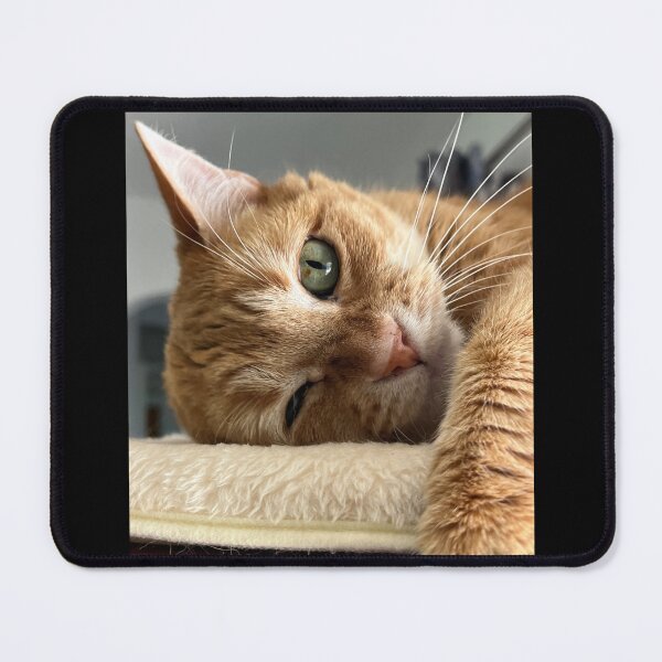 Item preview, Lucy relaxing on her cat tree - chill designed and sold by DesignsFromTW-S.