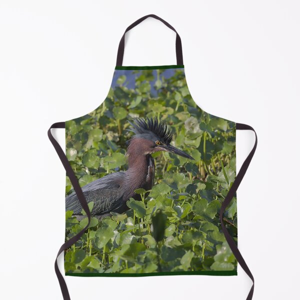 Item preview, Green Heron hunting in the weeds designed and sold by JacobCPhotos.