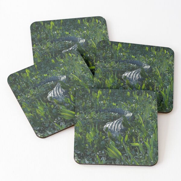 Item preview, Alligator in the grass designed and sold by JacobCPhotos.