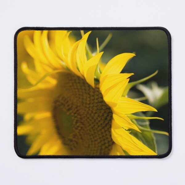 Item preview, Sunflower designed and sold by RenataPhoto.