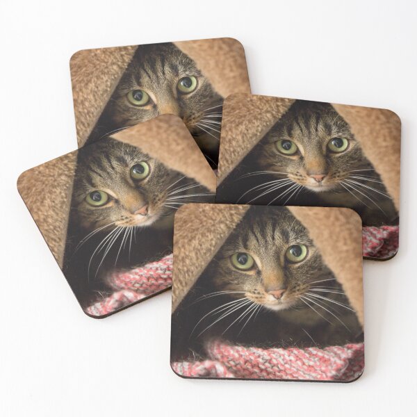 Item preview, Shy Tabby Cat designed and sold by Max Evans Photography.