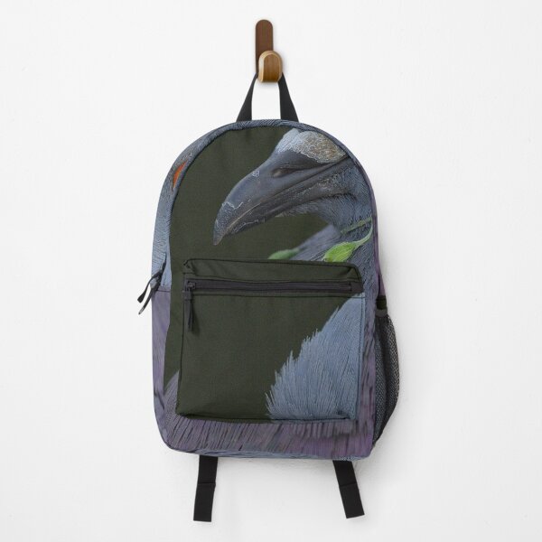 Item preview, Rock Pigeon Closeup designed and sold by JacobCPhotos.