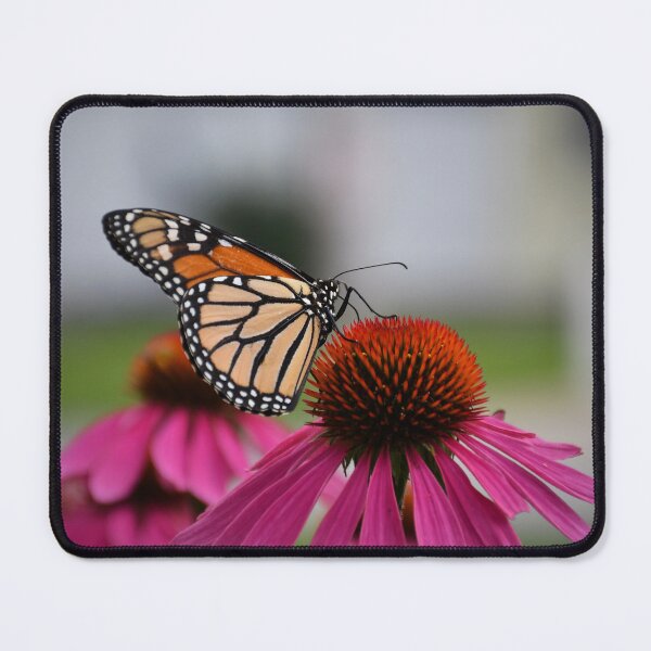 Aperçu de l'œuvre Pollinisateur prolifique – Papillon monarque dans la cour créée et vendue par SangeDesigns.