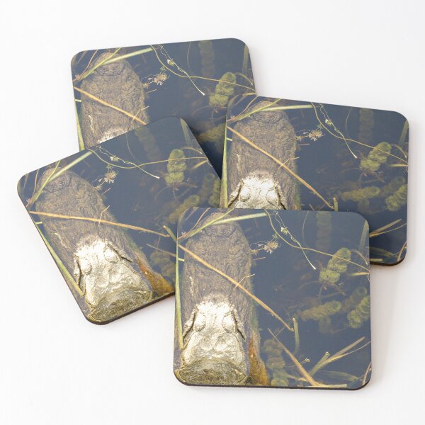 Item preview, Alligator in the Water designed and sold by JacobCPhotos.