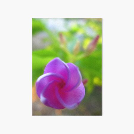 Periwinkle Bud Art Board Print