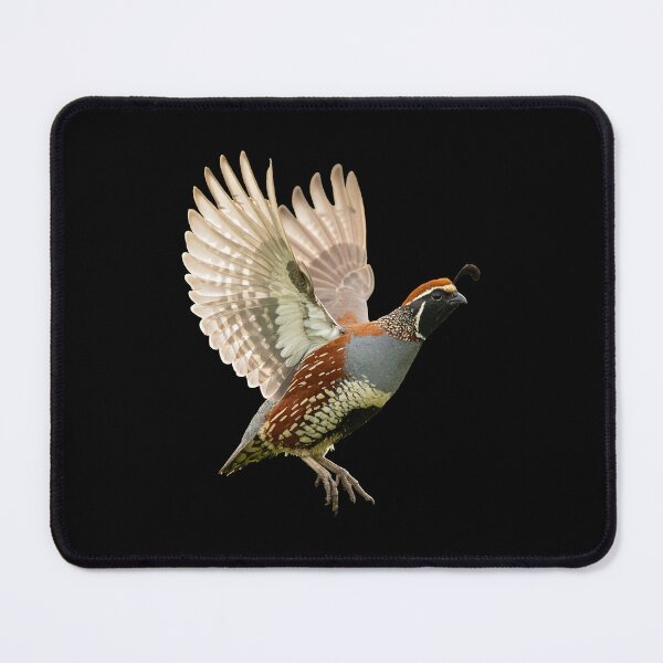 Item preview, Quail in Flight Portrait designed and sold by Futurebeachbum.