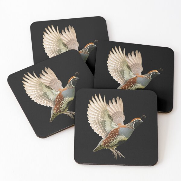 Item preview, Quail in Flight Portrait designed and sold by Futurebeachbum.
