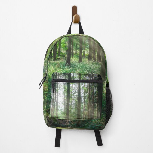 Item preview, Sunlight Through Forest Trees in Foreste Casentinesi National Park designed and sold by Stefano Orazzini.