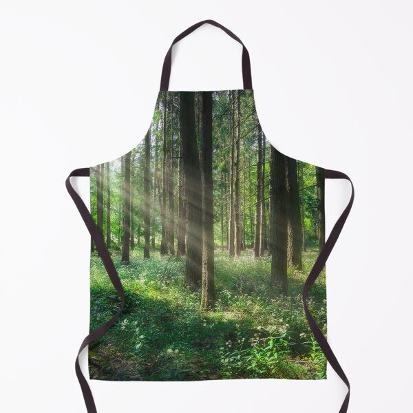 Item preview, Sunlight Through Forest Trees in Foreste Casentinesi National Park designed and sold by Stefano Orazzini.