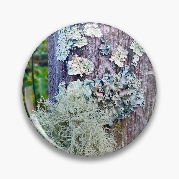 Item preview, Lichen Galore on Fencepost designed and sold by Kandoart.