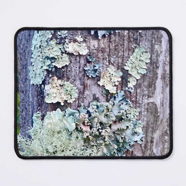 Item preview, Lichen Galore on Fencepost designed and sold by Kandoart.