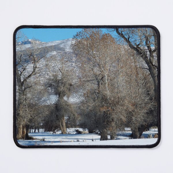 Item preview, Snow Covered Rubies designed and sold by Brenda's Images.