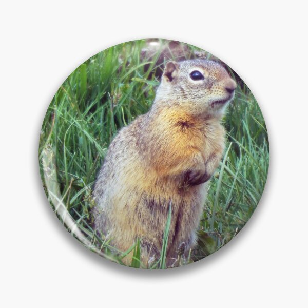 Item preview, Ground Squirrel designed and sold by Brenda's Images.
