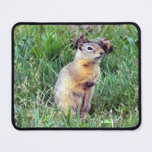 Item preview, Ground Squirrel designed and sold by Brenda's Images.
