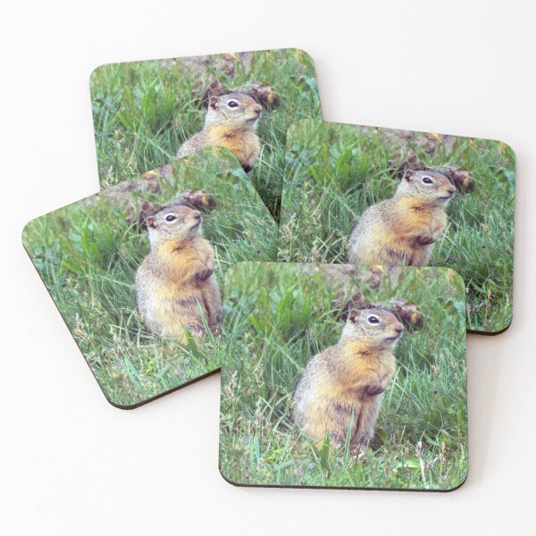 Item preview, Ground Squirrel designed and sold by Brenda's Images.