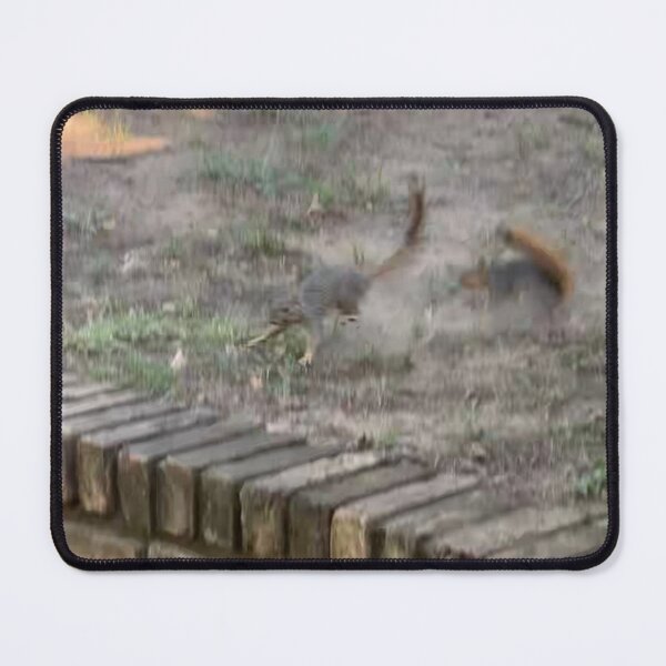 Item preview, Menace the Squirrel Earns his Name designed and sold by WhispFeathers.