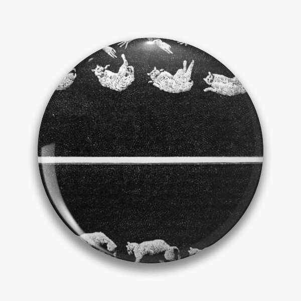 Item preview, Cat Falling 1893. designed and sold by HighIQHistory.
