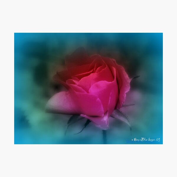 Contradictions... Photographic Print
