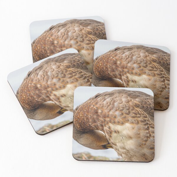 Item preview, Close-up of preening Mallard duck designed and sold by lisavonbiela.