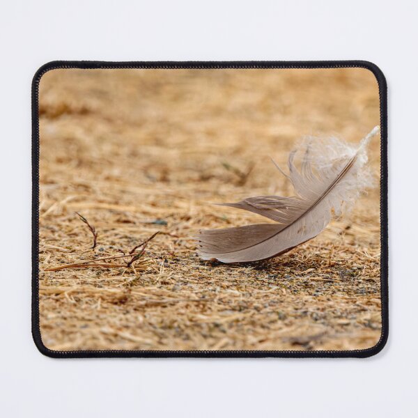 Item preview, Isolated single feather on the ground designed and sold by lisavonbiela.