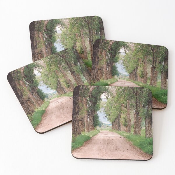 Item preview, Tree Lined Driveway designed and sold by Brenda's Images.