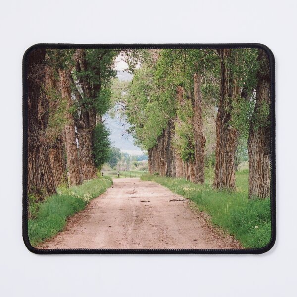 Item preview, Tree Lined Driveway designed and sold by Brenda's Images.