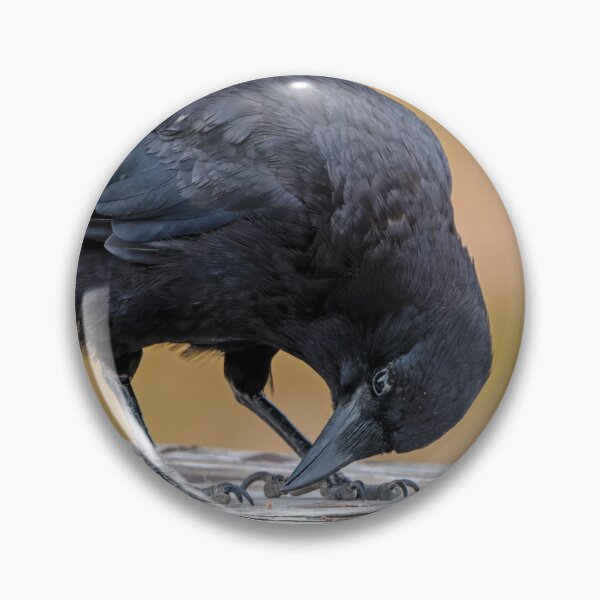 Item preview, American Crow scagenging on picnic table designed and sold by lisavonbiela.