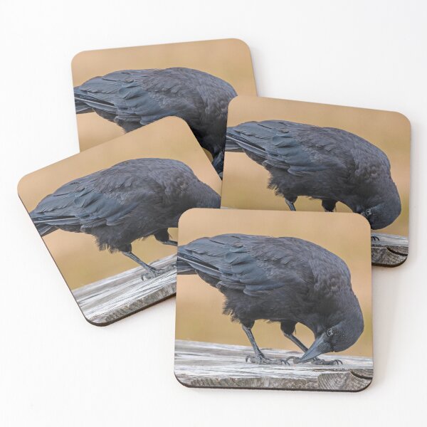 Item preview, American Crow scagenging on picnic table designed and sold by lisavonbiela.