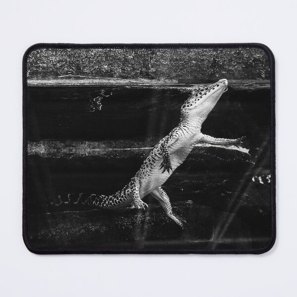 Item preview, Baby Cuban Crocodile B And W designed and sold by MercerImages.