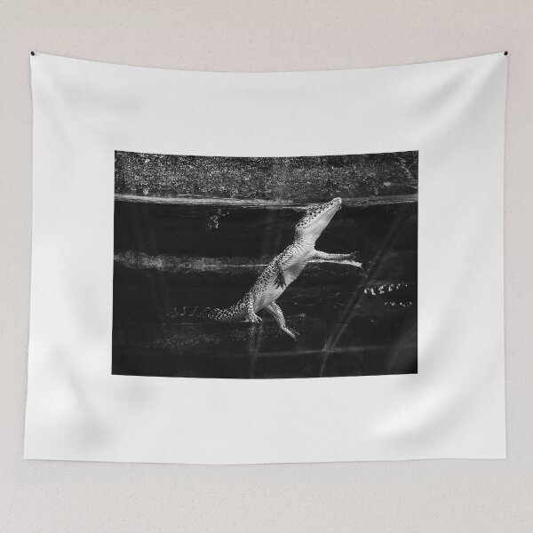 Item preview, Baby Cuban Crocodile B And W  designed and sold by MercerImages.