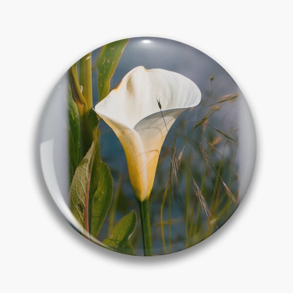Item preview, calla lily designed and sold by FunParlor.