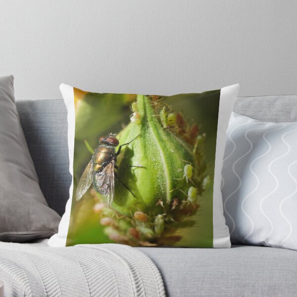 Item preview, Fly & Aphids  designed and sold by D-GaP.