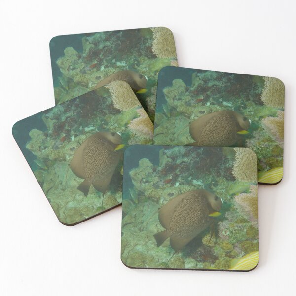 Item preview, Sea Life in Coral designed and sold by SubmergedFrames.