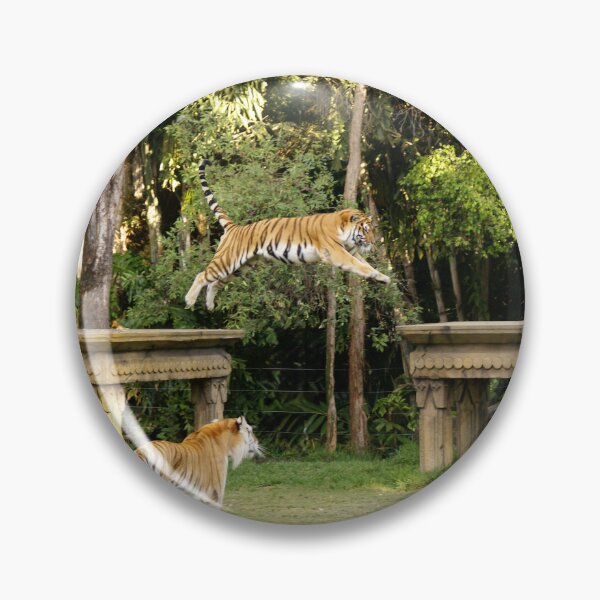 Item preview, Flying Tiger – Wildlife Power in Motion designed and sold by Rx Photography.