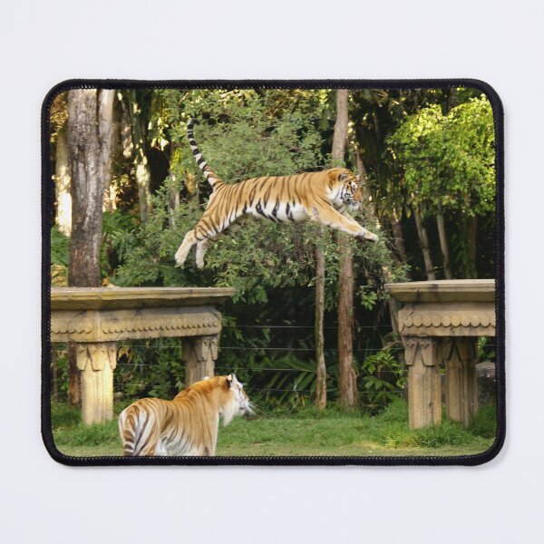 Item preview, Flying Tiger – Wildlife Power in Motion designed and sold by Rx Photography.