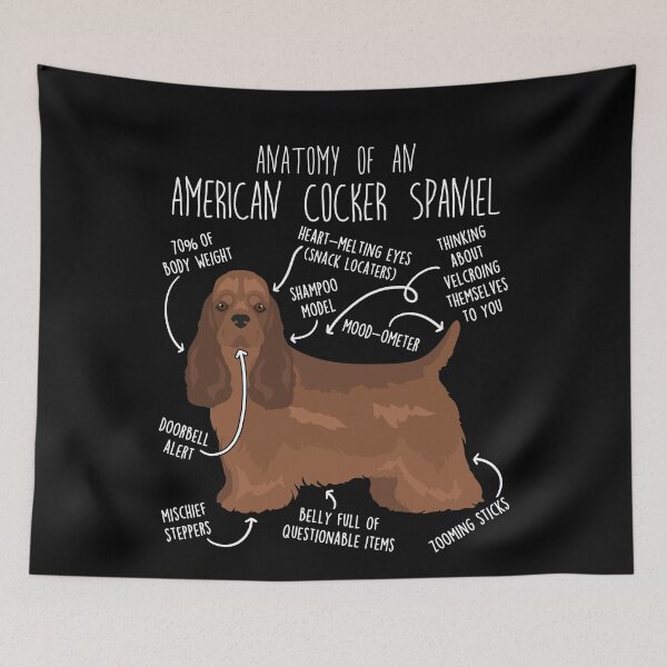 Item preview, Brown American Cocker Spaniel Dog Anatomy designed and sold by Clara Hollins.