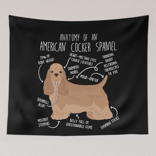 Item preview, Buff American Cocker Spaniel Dog Anatomy designed and sold by Clara Hollins.