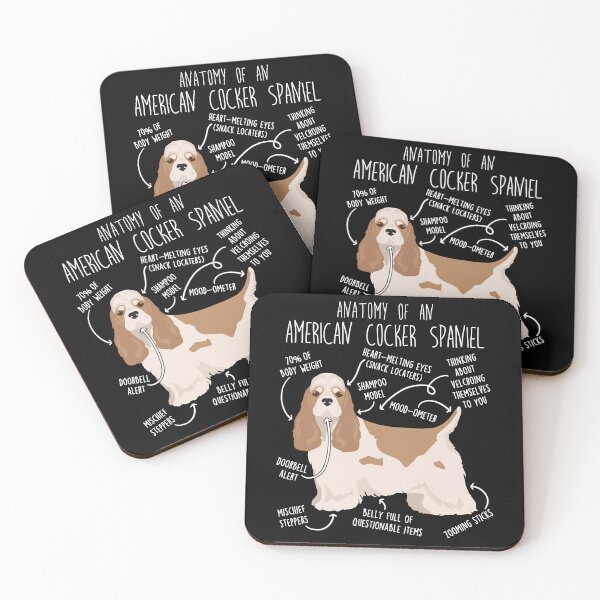 Item preview, Buff and White American Cocker Spaniel Dog Anatomy designed and sold by Clara Hollins.
