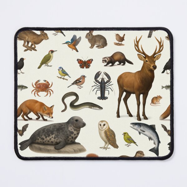 Item preview, Animals of the United Kingdom Illustration Chart Wildlife Art designed and sold by kakarikihill.