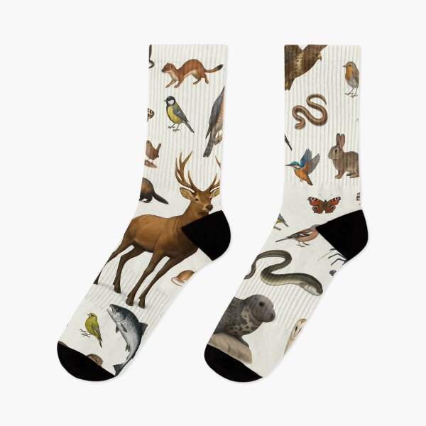 Item preview, Animals of the United Kingdom Illustration Chart Wildlife Art designed and sold by kakarikihill.