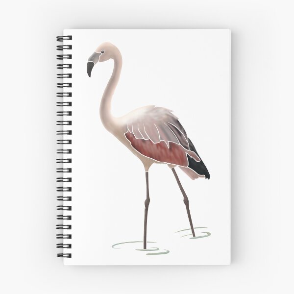 Artikelvorschau, Junger Flamingo entworfen und verkauft von A-inProgress.