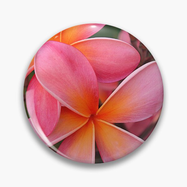 Item preview, Pink Plumerias Tropical Island Flowers Art Photo designed and sold by DEC02.